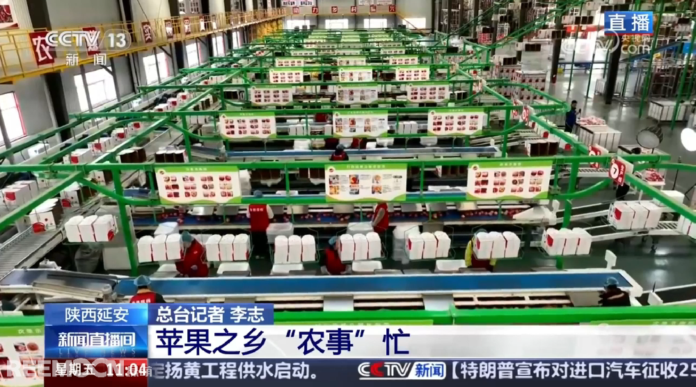 春天是希望的季節(jié)陜西延安是我國(guó)蘋(píng)果的優(yōu)生區(qū)和主產(chǎn)區(qū)蘋(píng)果之鄉(xiāng)正呈現(xiàn)出一片繁忙的景象3月28日，CCTV13新聞?lì)l道聚焦陜西延安蘋(píng)果產(chǎn)業(yè)發(fā)展展現(xiàn)中國(guó)農(nóng)業(yè)現(xiàn)代化與鄉(xiāng)村振興的生動(dòng)實(shí)踐PART.01智能分選線：給蘋(píng)果做“體檢”，助力果農(nóng)增收致富延安甘泉縣分揀車間內(nèi)綠萌智能分選設(shè)備高效運(yùn)轉(zhuǎn)通過(guò)人工智能和圖像處理技術(shù)對(duì)傳送帶上的